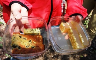 ウドのパウンドケーキとりんごのゼリー.jpg