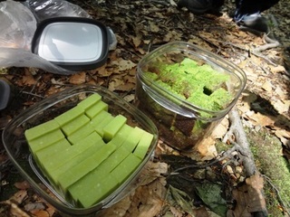 空豆ようかんとヨモギのパウンドケーキ.jpg